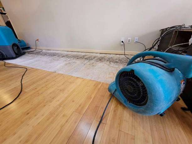 Professional Water Damage Repair technician working in Green Springs, OH